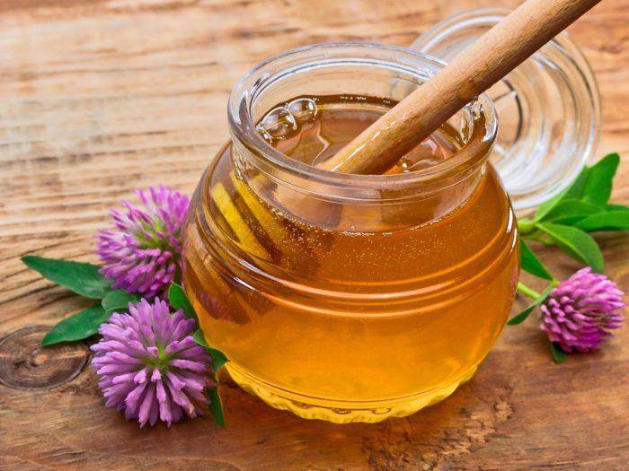 Мёд — полезные свойства, состав, виды и противопоказания