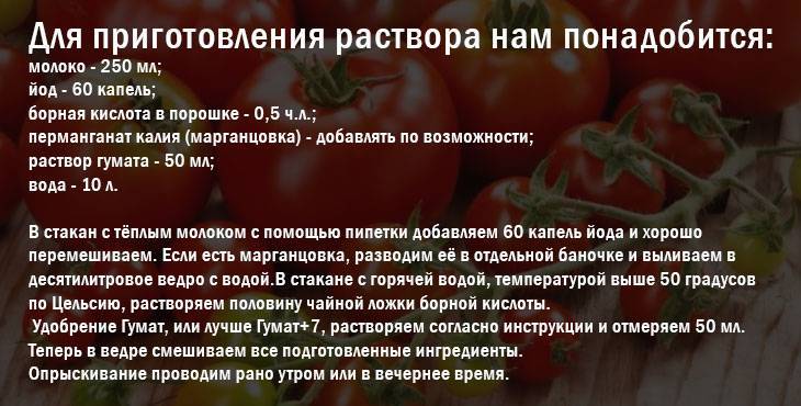 Подкормка томатов йодом в теплице: все нюансы и личный опыт