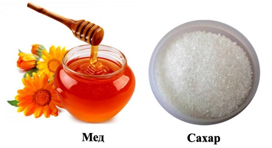 Что полезнее мед или сахар?