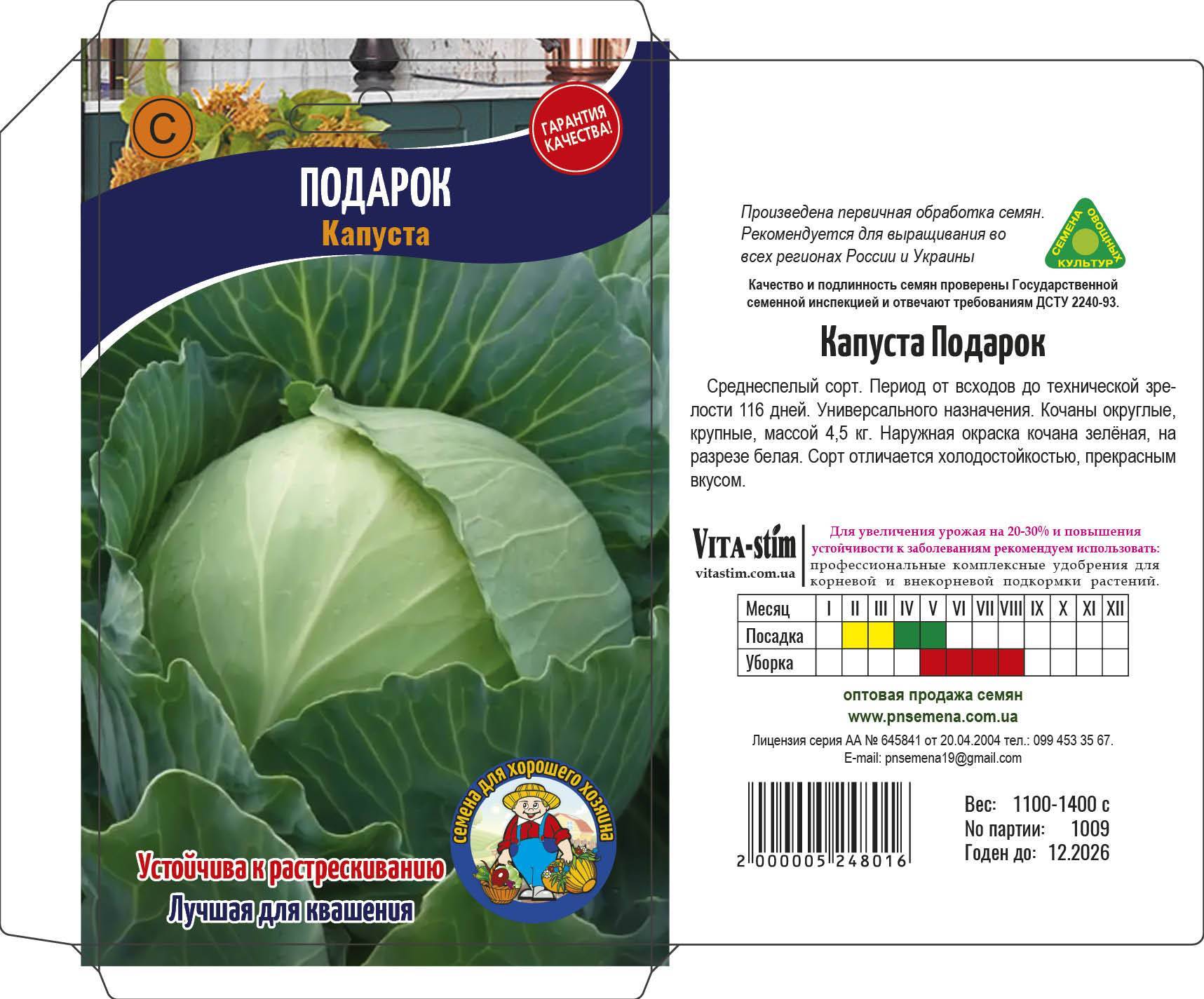О белокочанной поздней белорусской капусте: описание сорта, характеристики