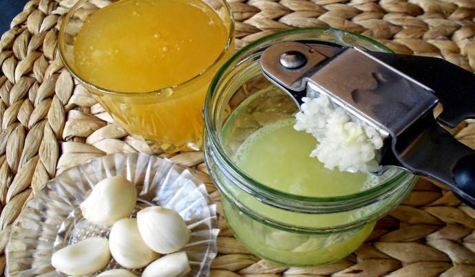 Чеснок с медом натощак для чистки организма + рецепт