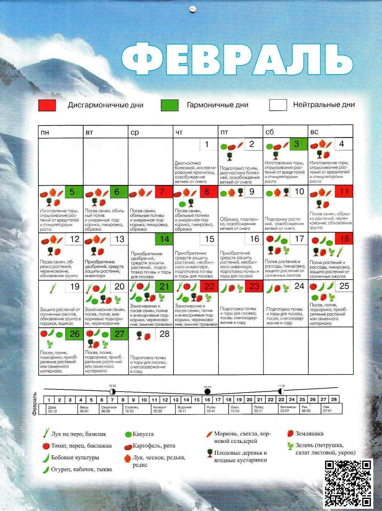 Когда садить чеснок под зиму на урале в 2021 году по лунному календарю: таблица благоприятных дней