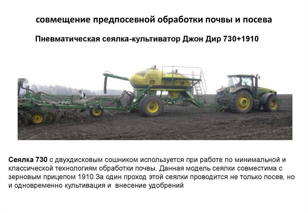 Выращивание пшеницы: особенности посадки и ухода