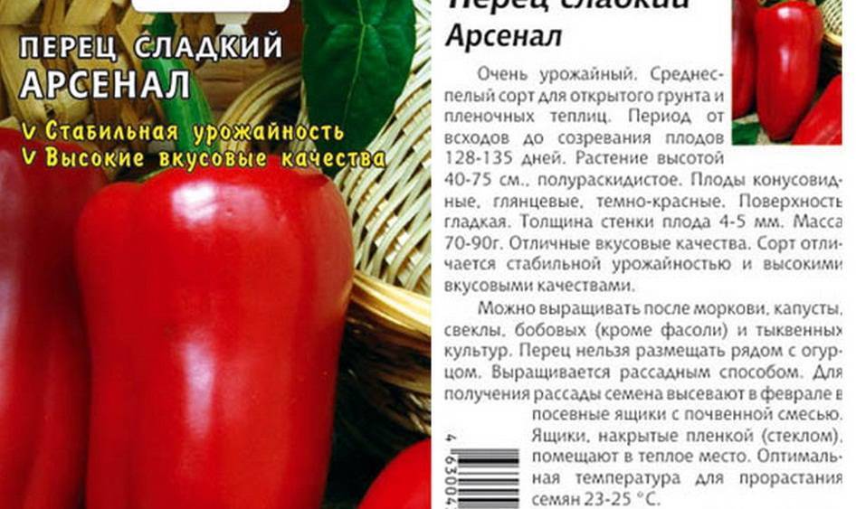 Фиолетовый перец: характеристики и описания сортов, урожайность, особенности выращивания болгарского овоща