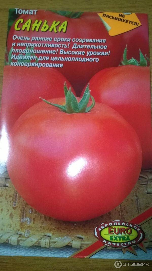 Гибрид с массой положительных качеств — томат искушение f1: описание сорта и характеристики