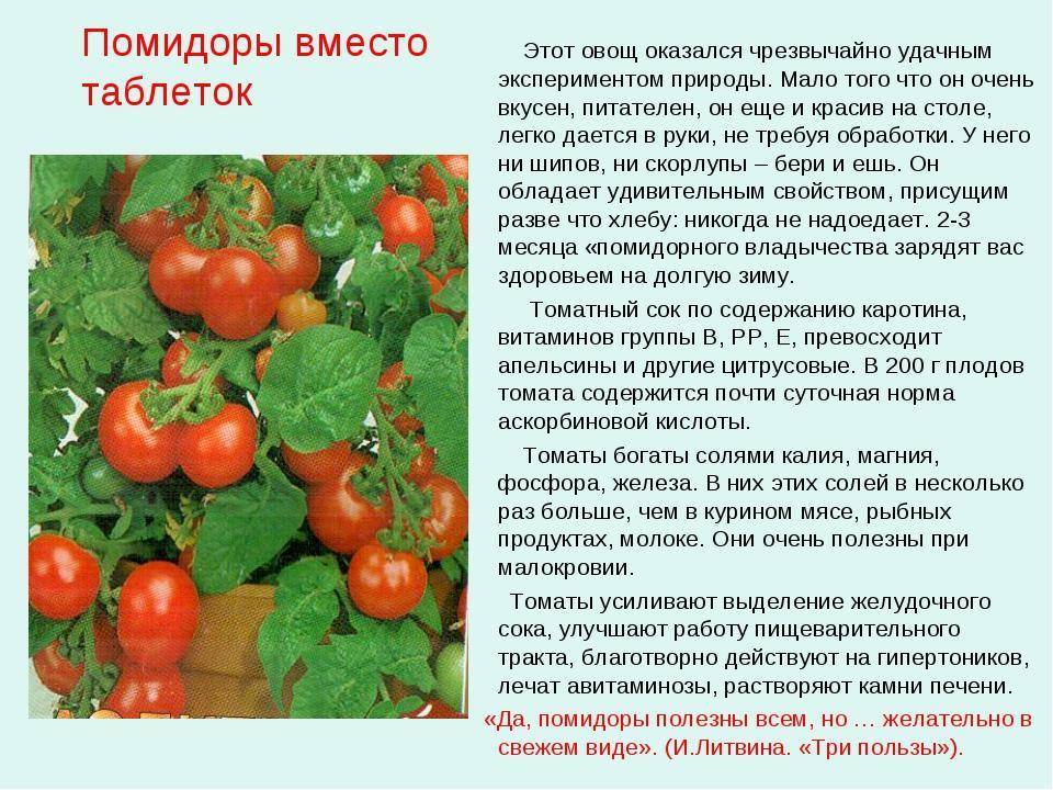 Какие витамины есть в помидорах: полезные витаминно-минеральные элементы и вредные вещества. помидоры — химический состав, пищевая ценность