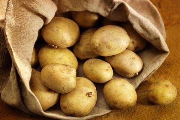 Сорт картофеля молли: описание, особенности ухода, отзывы