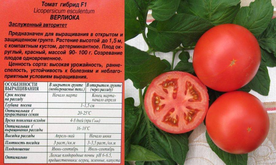Томат инфинити f1: отзывы тех кто сажал помидоры об их урожайности, характеристика и описание сорта, фото семян сибирский сад