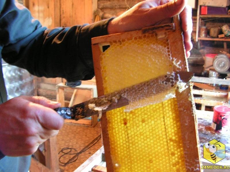Способ откачки пчелиного меда в.и. шляхова - патент рф 2245029 - шляхов в.и.