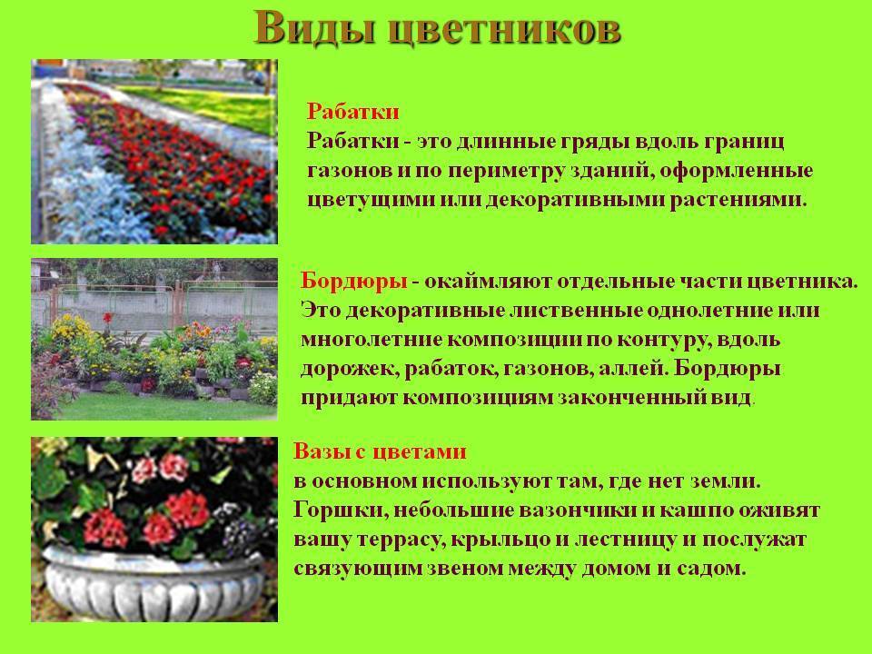 Презентация цветочной клумбы