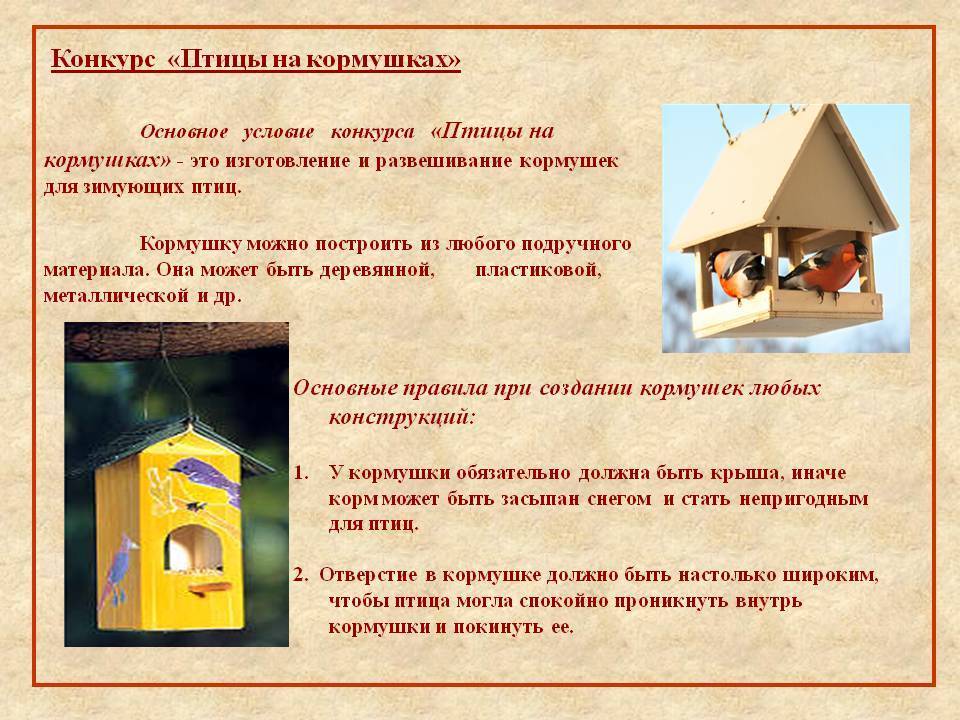 Актуальность проекта скворечник для птиц