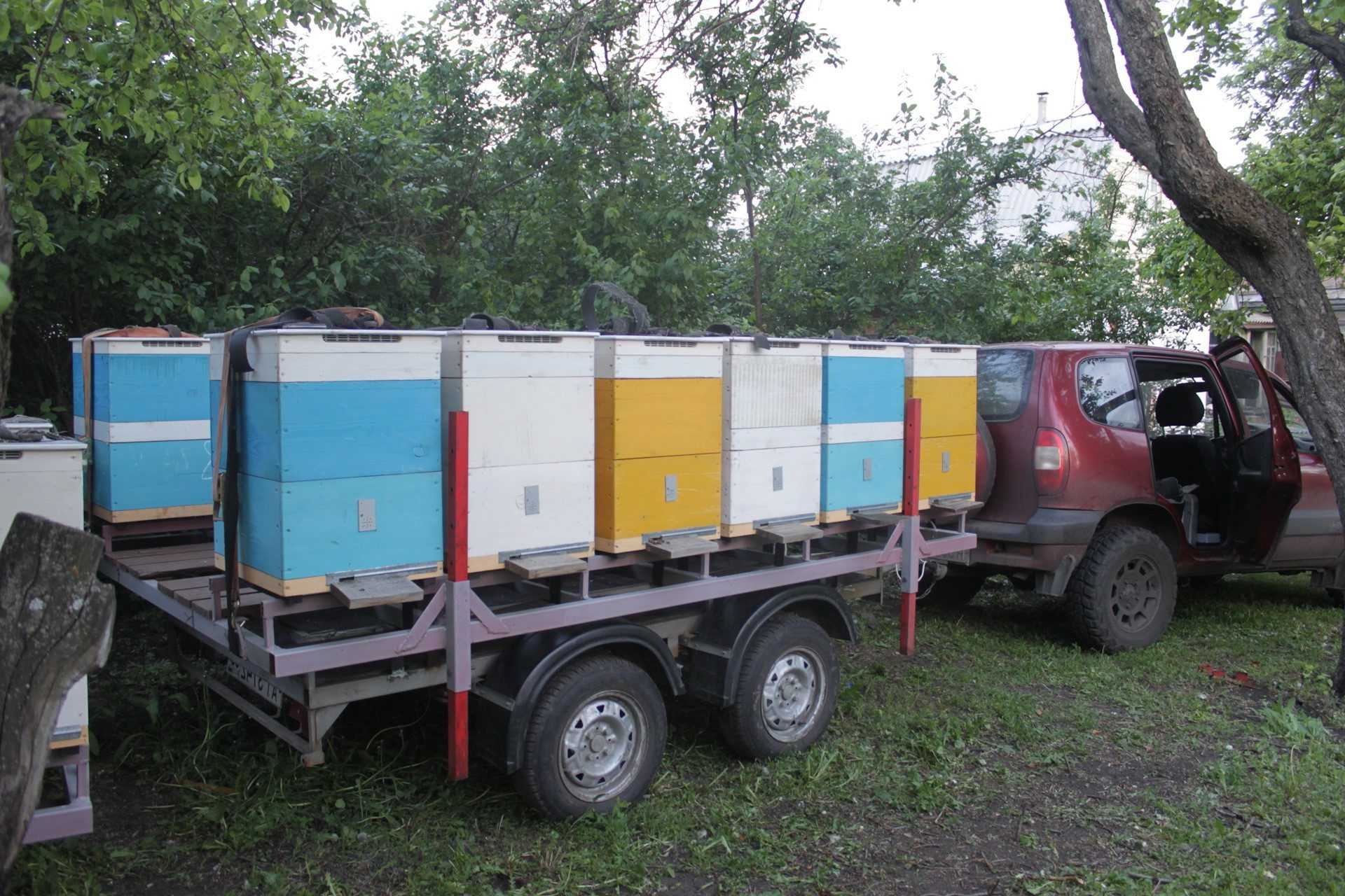 Кассетное пчеловодство: павильон для пчёл своими руками (чертежи)
