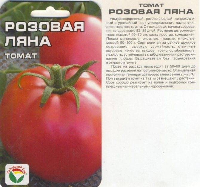 Характеристика и описание сорта томата биф биф, его урожайность