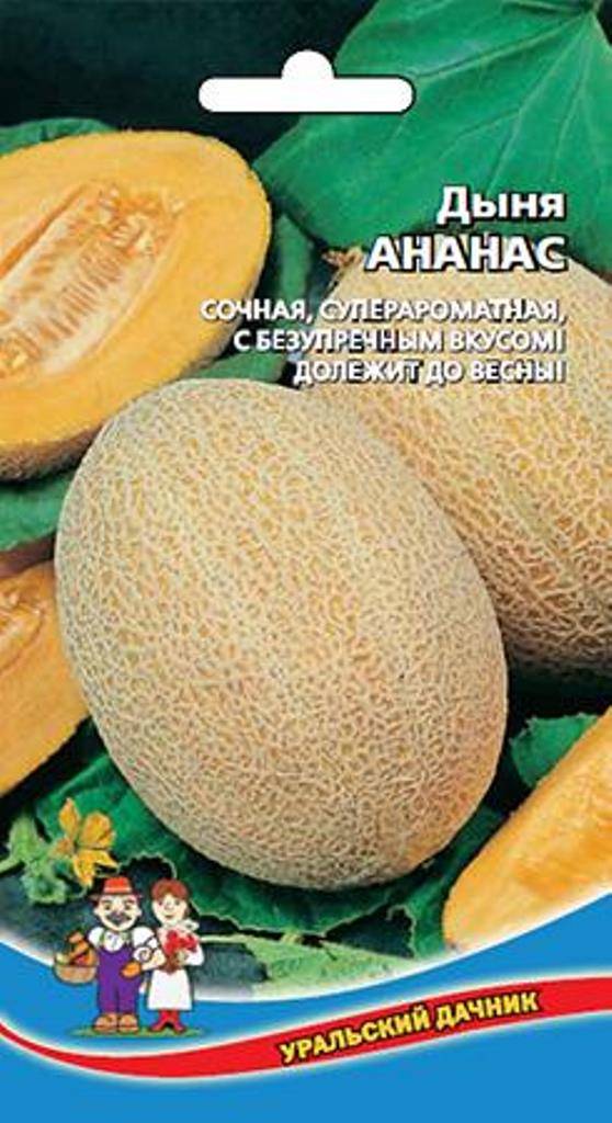 Семена дыня американский ананас: описание сорта, фото