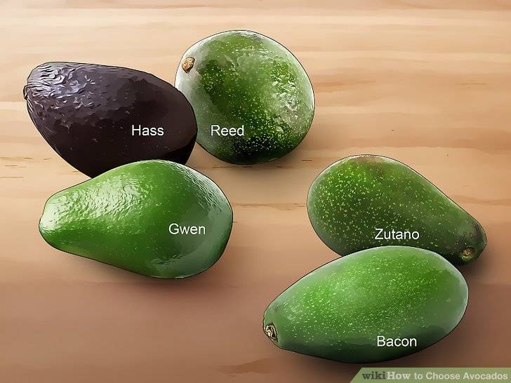 Черный авокадо отличие от зеленого