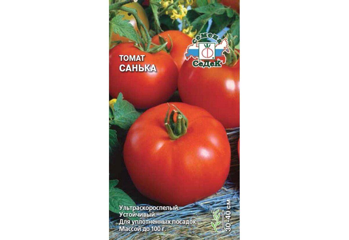 Характеристика томата санька: описание сорта, выращивание из семян и урожайность помидор, фото и видео