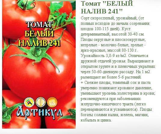 Томат дина: описание и характеристика сорта, отзывы, фото | tomatland.ru