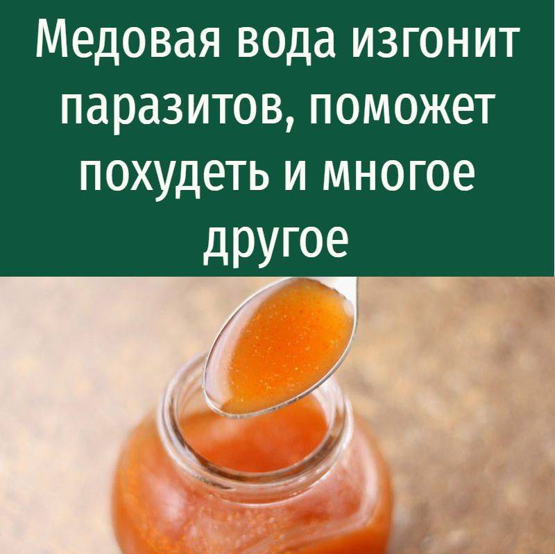Вода с медом по утрам: можно и нужно ли пить напиток каждый день