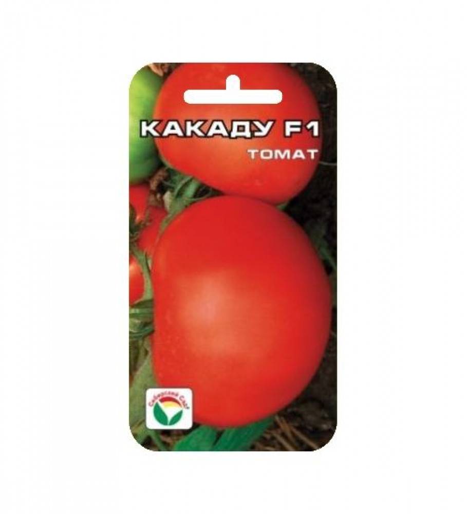 Томат какаду f1: отзывы огородников, фото помидоров, рекомендации по их выращиванию на своём участке