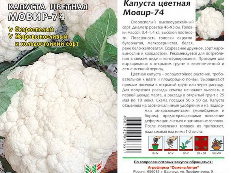 Описание сорта капусты атрия