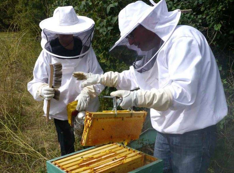 Моя работа в канаде - 18 мая 2010 - продукты пчеловодства