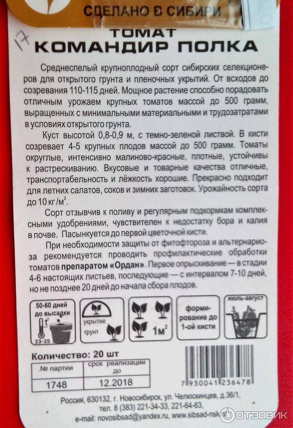 Томат батяня: описание раннего сорта сердцевидной формы, фото, отзывы и правила посадки, выращивания и ухода, урожайность