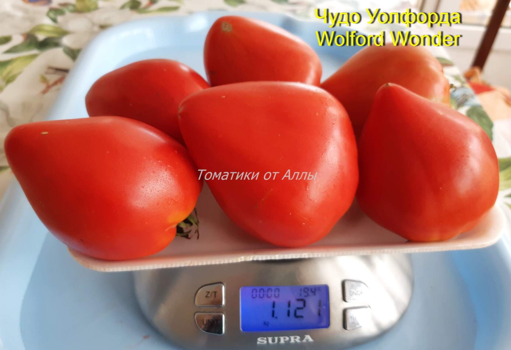 Сладкое чудо уолфорда — как выращивать американский томат. подробное описание и рекомендации садоводов