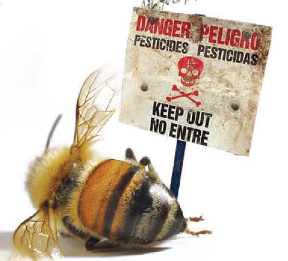 Действия пчеловодов при отравлении пчел пестицидами-пошаговая инструкция