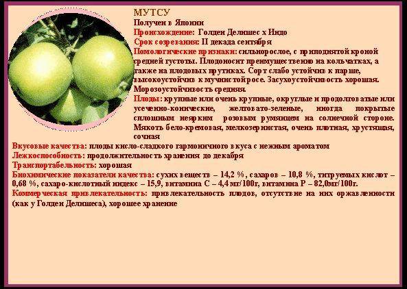 Яблоня мутсу: фото и описание сорта, отзывы