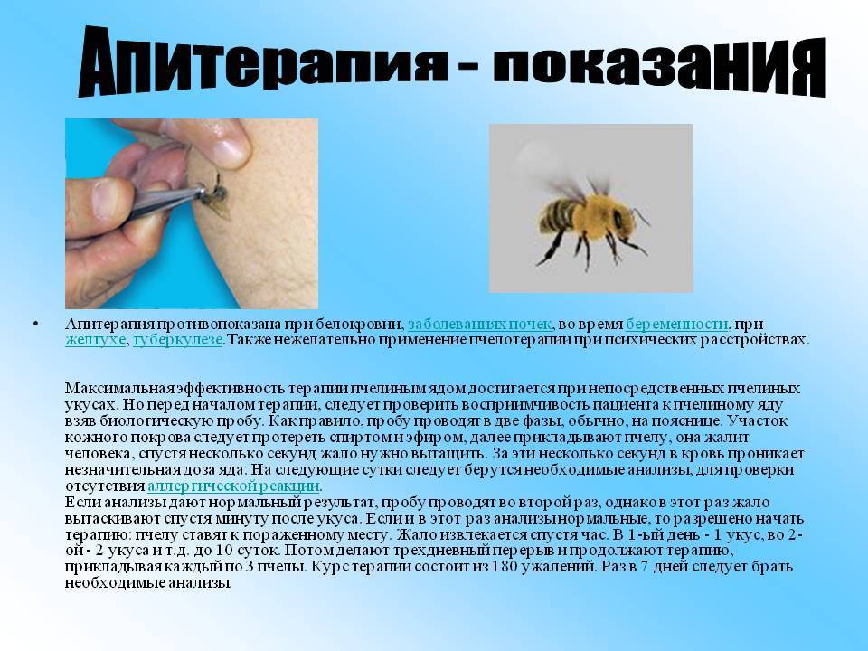Аллергия к нежалящим насекомым | интернет-издание "новости медицины и фармации"