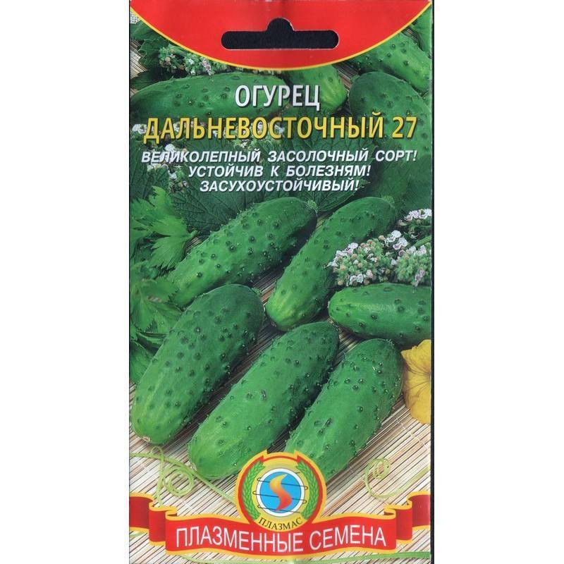 Характеристика и описание дальневосточного огурца, его выращивание