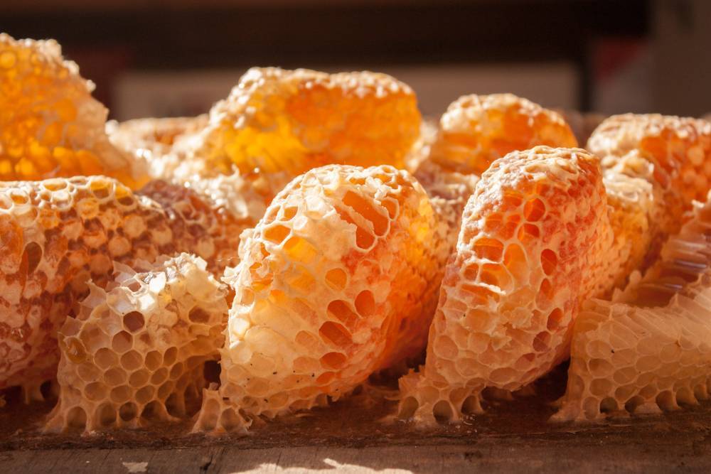 Медовые соты: польза и вред, как правильно извлечь и есть