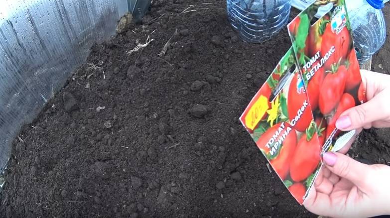 Когда сажать томаты на рассаду в феврале, марте 2022 года: лунный календарь посева томатов