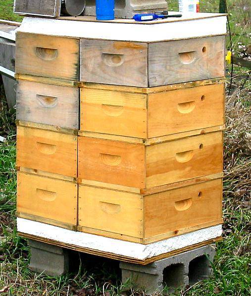 Ульи для пчел: виды, конструкции и характеристика