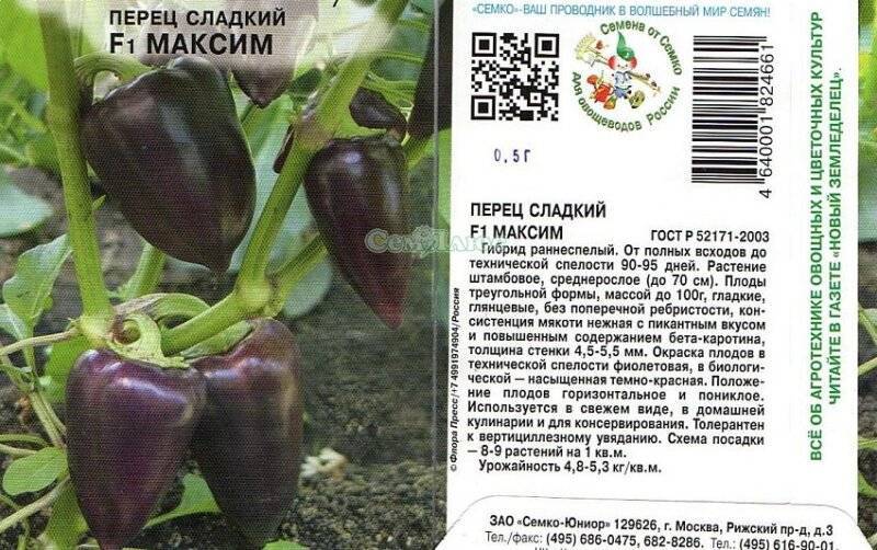 Характеристики и описания сортов фиолетового перца, урожайность и выращивание
