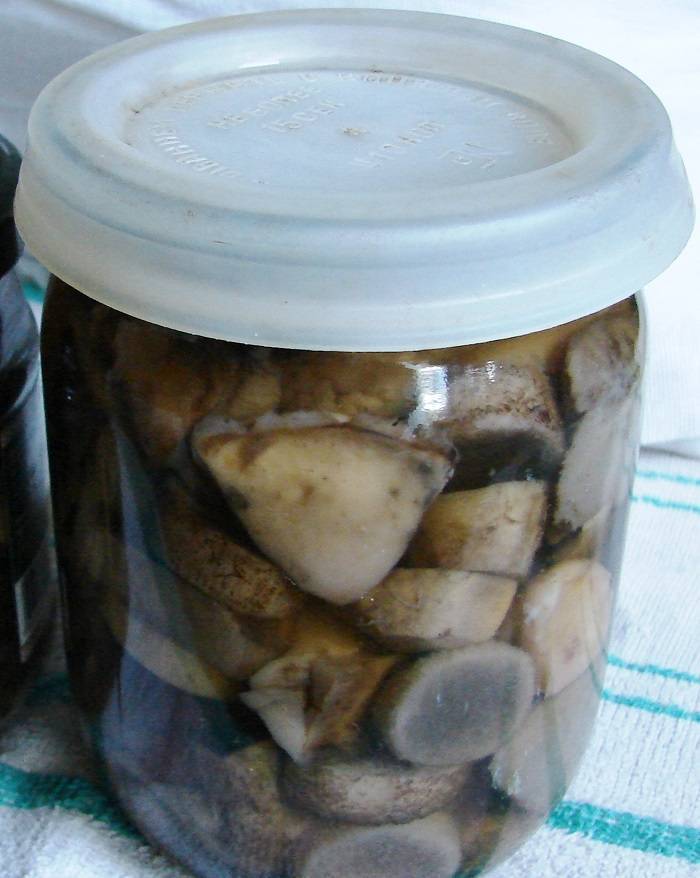 Белые грибы на зиму: топ-6 самых вкусных рецептов