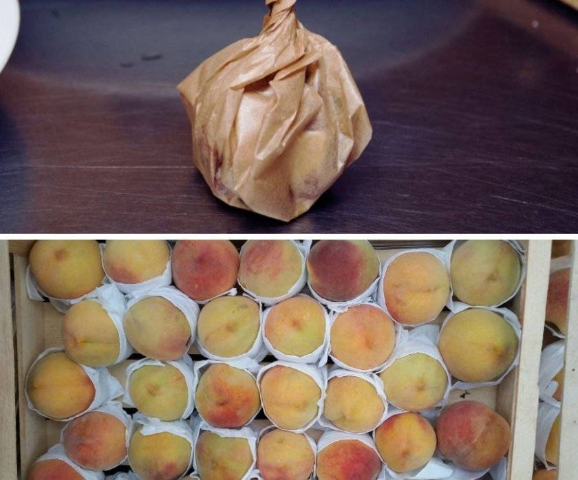 Как правильно в домашних условиях хранить персики на зиму
