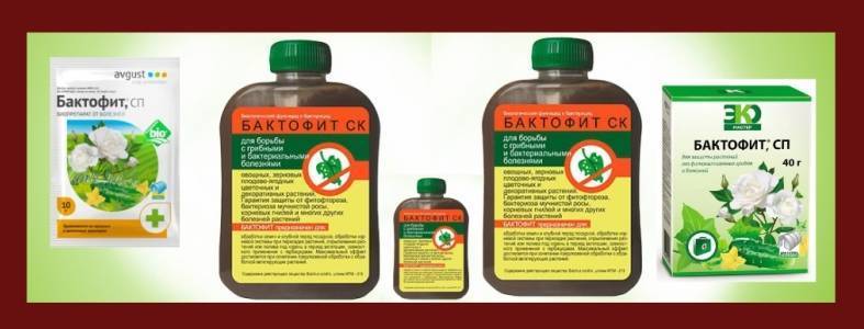 Фунгицидные препараты для растений - «экос биопрепараты»