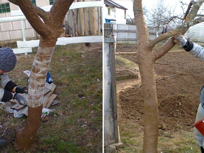 Как засушить и уничтожить дерево на корню незаметно - самоделкино
                                             - 16 апреля
                                             - 43326359374 - медиаплатформа миртесен