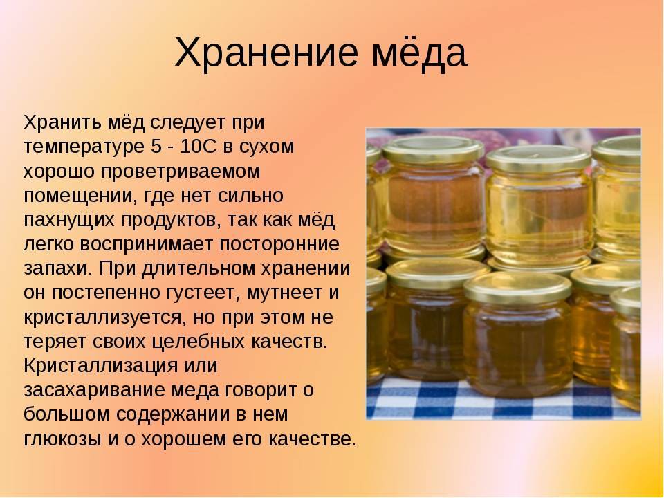 Как хранить мед в домашних условиях - где, как, сколько