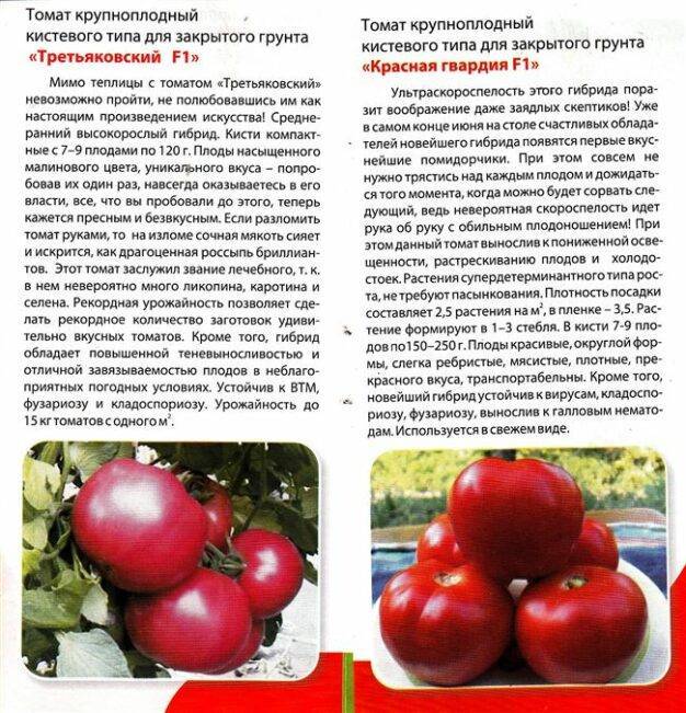 Характеристика и описание потребительских свойств сорта томатов Мобил