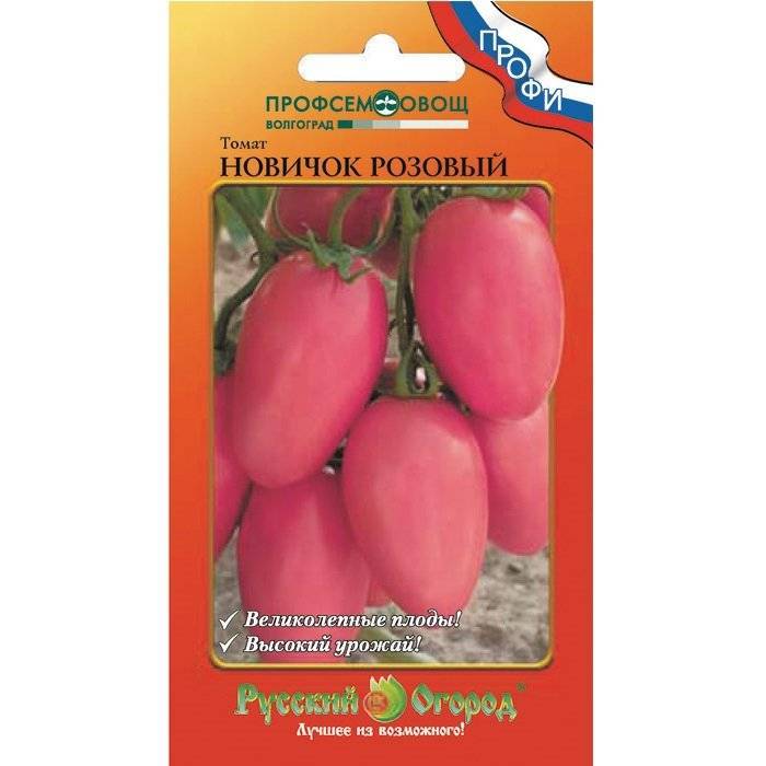 Томат новичок