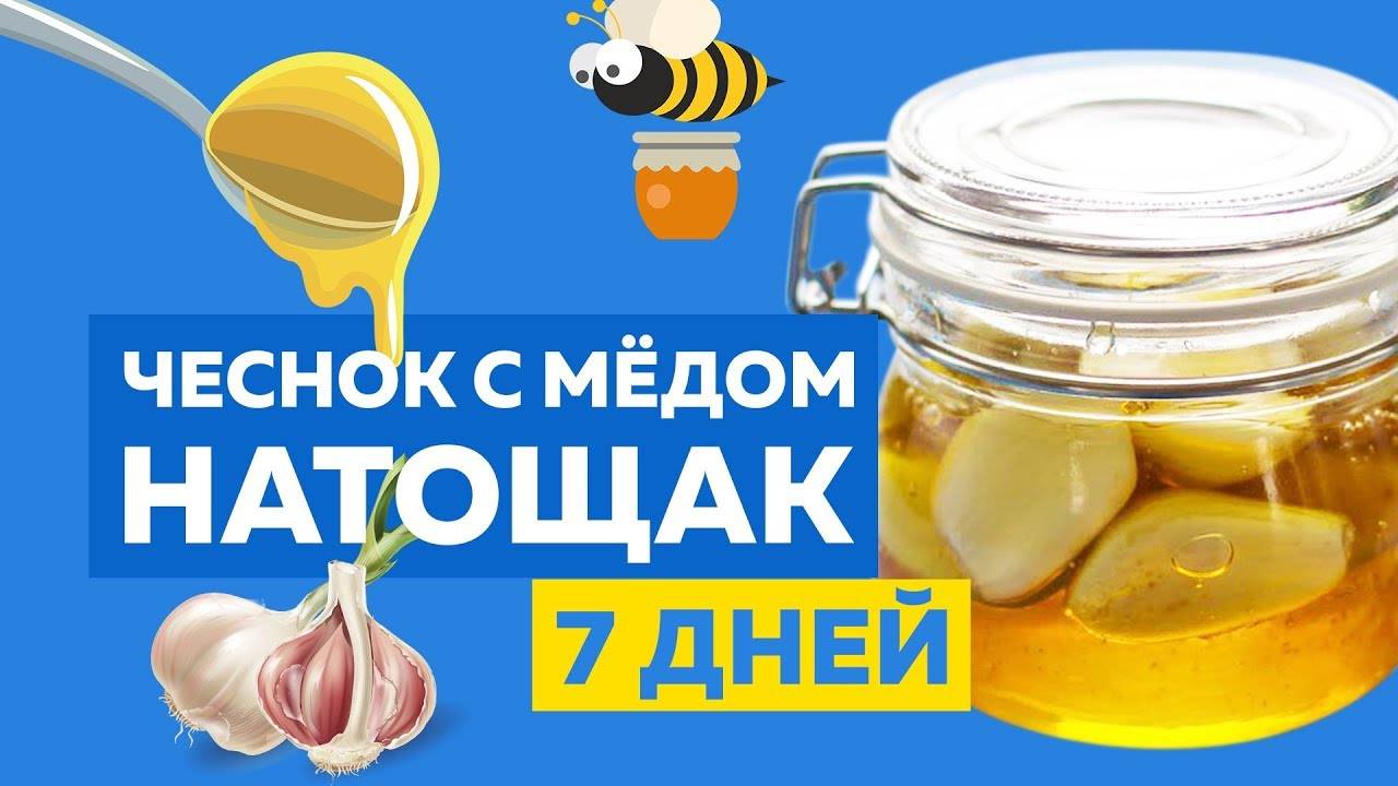 Чеснок с мёдом натощак: лучшее лекарство от всех болезней