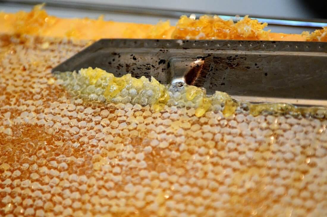 Забрус пчелиный – что это такое