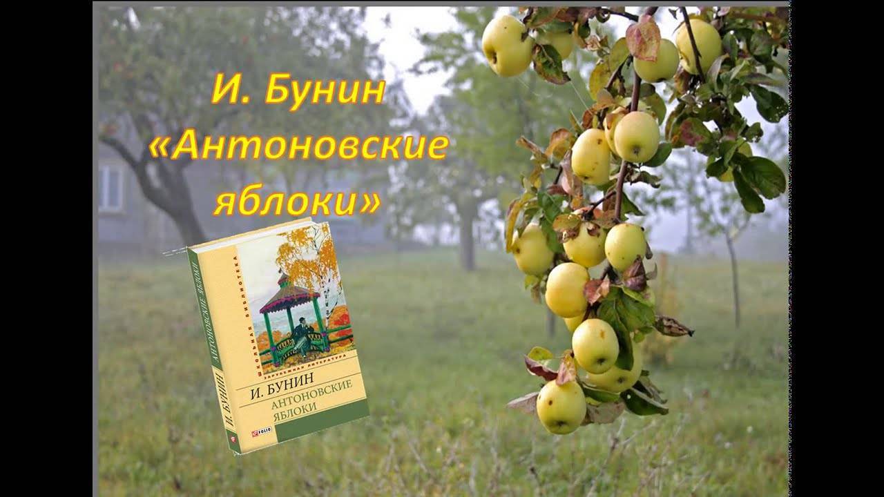Иван бунин «антоновские яблоки» читать - (i ...вспоминается мне ранняя погожа...)