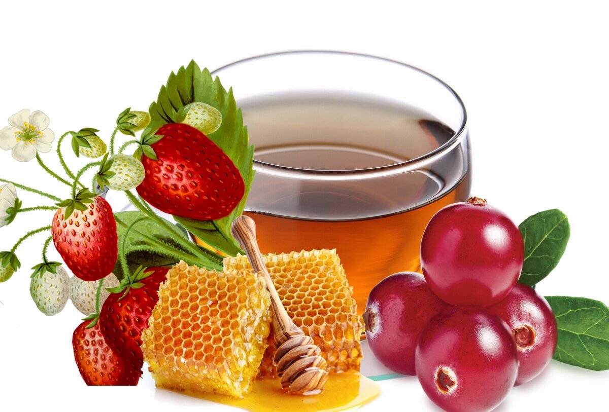Брусника с медом: полезные свойства и рецепты