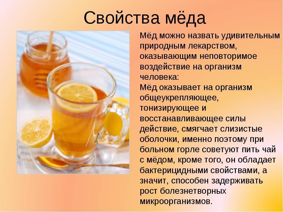 Башкирский белый мед: из чего делают, полезные свойства и вред меда