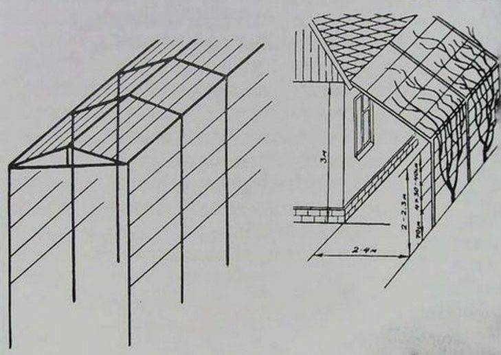 Шпалера для винограда своими руками чертежи и фото