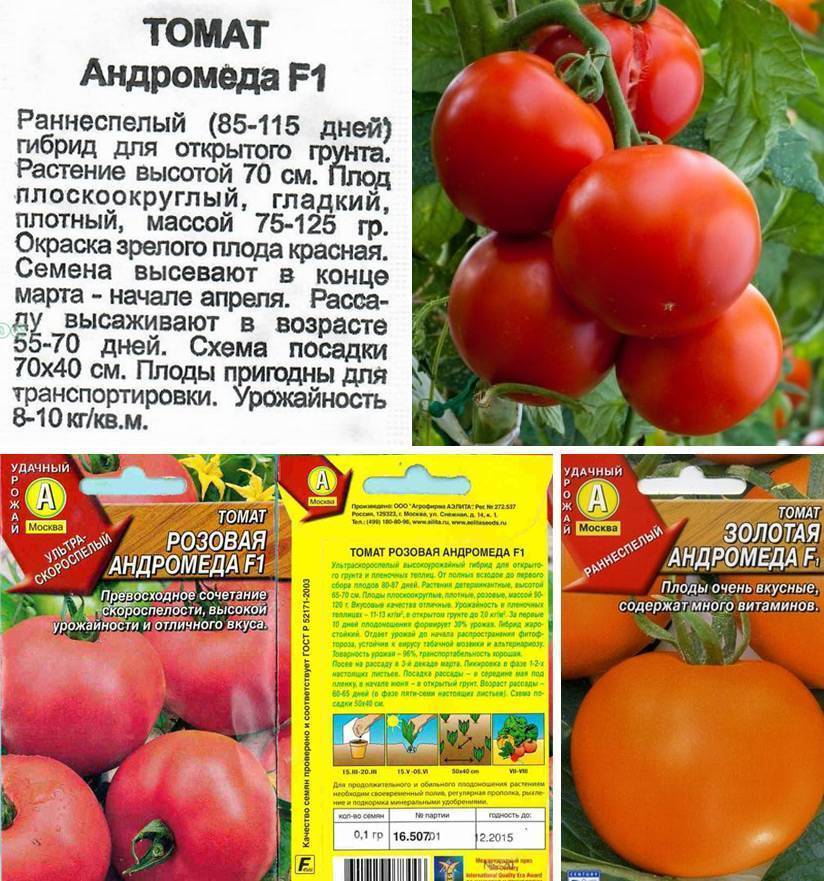 ✅ о томате киржач: описание сорта томата, характеристики помидоров, посев