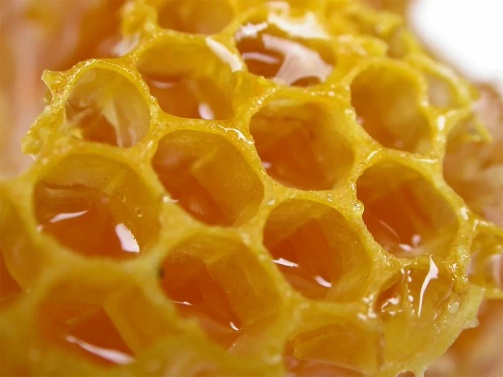 Искусственные соты для пчел